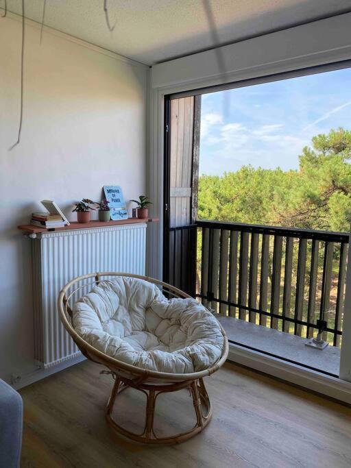 Grand T2 A 150M De La Plage Apartment Seignosse Exterior photo